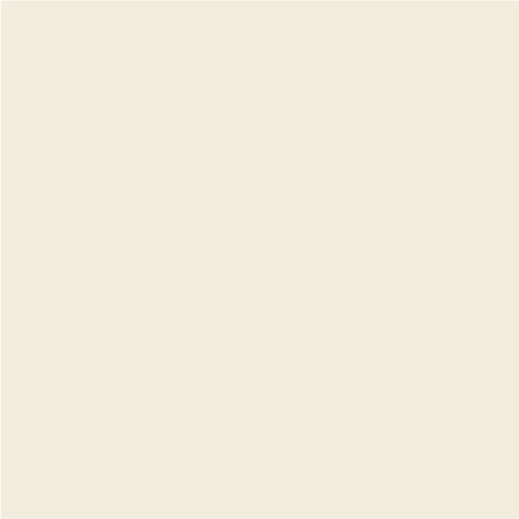 PLAIN IVORY (PGVT) preview